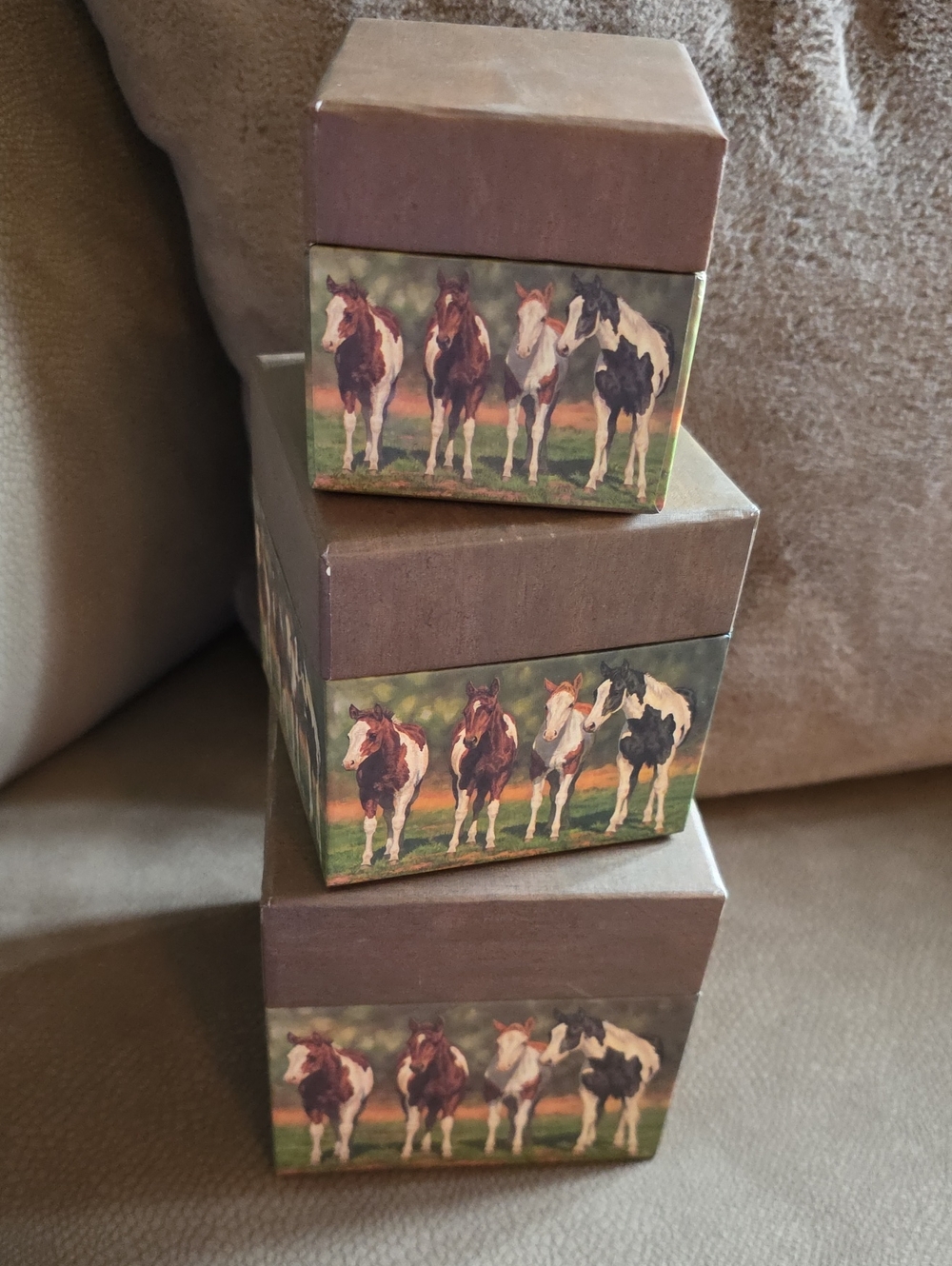 Bob's Boxes: VTG Stacked/ Nesting Storage Boxes w/ Horse Print #4017026